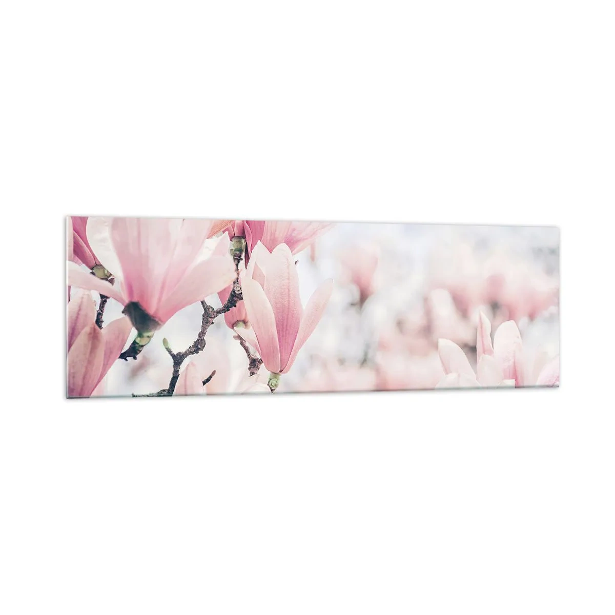 Quadro su vetro - Delicati fiori di magnolia in delicate tonalità rosa - 160x50cm - Ideale di delicatezza - Decorazione murale moderna per soggiorno e camera da letto ARTTOR