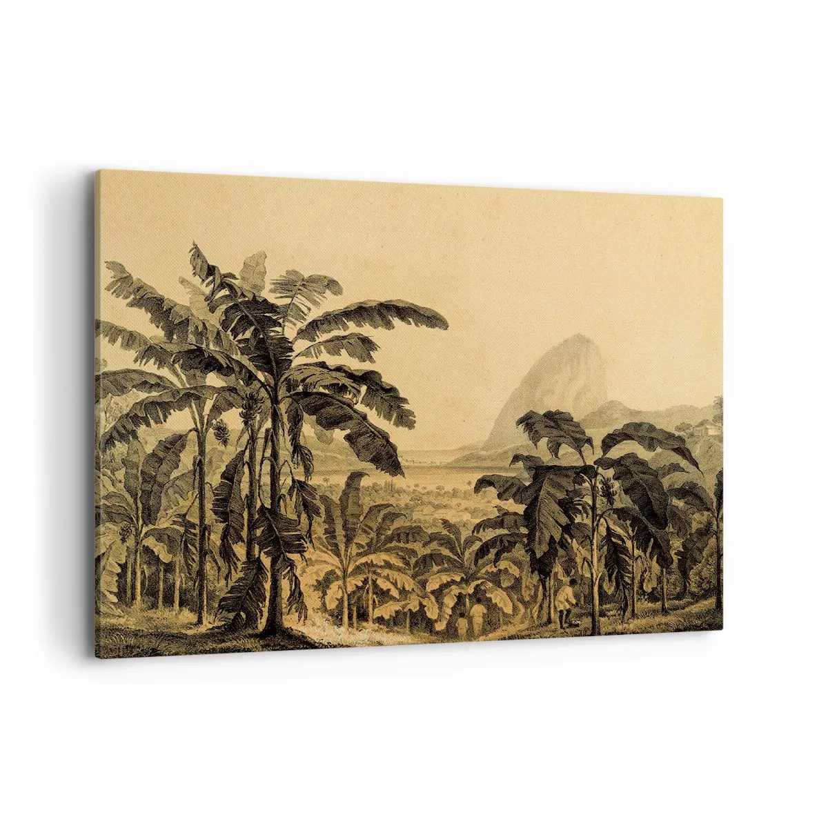 Quadro su tela - Stampe su Tela - Disegno di alberi di banana su uno sfondo di paesaggio tropicale - 100x70cm - Nel clima coloniale - Decorazione murale moderna per soggiorno e camera da letto ARTTOR