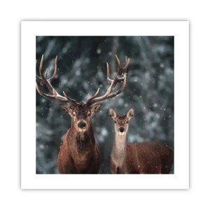 Poster - Il re della foresta con la consorte - 40x40 cm