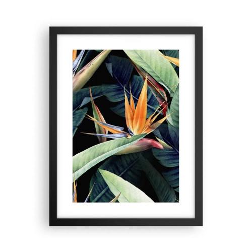 Poster in cornice nera - I fiori fiammeggianti dei tropici - 30x40 cm