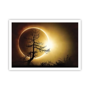 Poster - Eclissi solare con la sagoma di un albero in primo piano - 100x70cm - Eclissi totale - Decorazione murale moderna per soggiorno e camera da letto ARTTOR