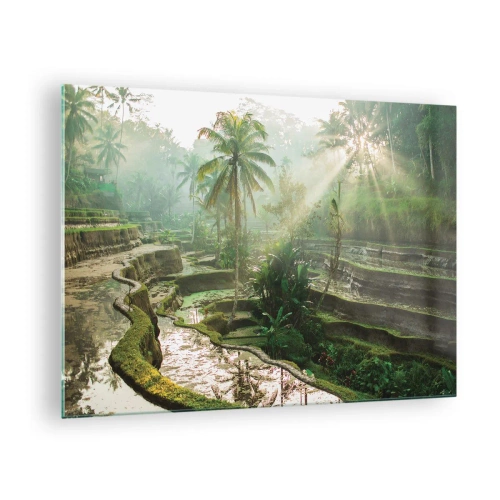 Quadro su vetro - Risaie tropicali con palme nella nebbia mattutina - 70x50cm - Crescere al sole - Decorazione murale moderna per soggiorno e camera da letto ARTTOR
