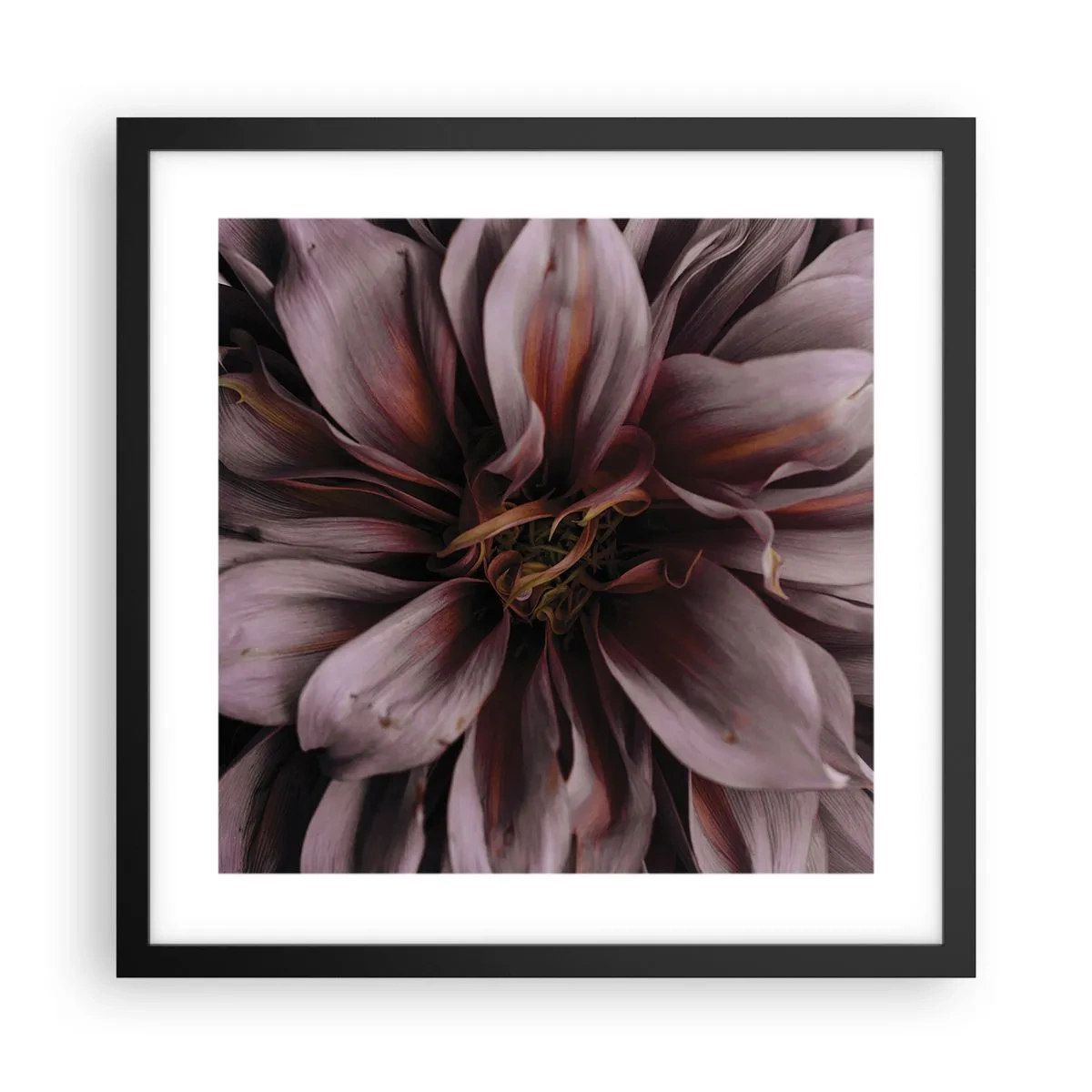 Poster in cornice nera - Cuore d'aprile - 40x40 cm