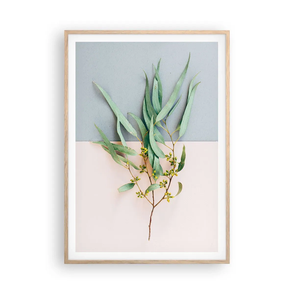 Poster in cornice rovere chiaro - Delicatezza pastello - 70x100 cm