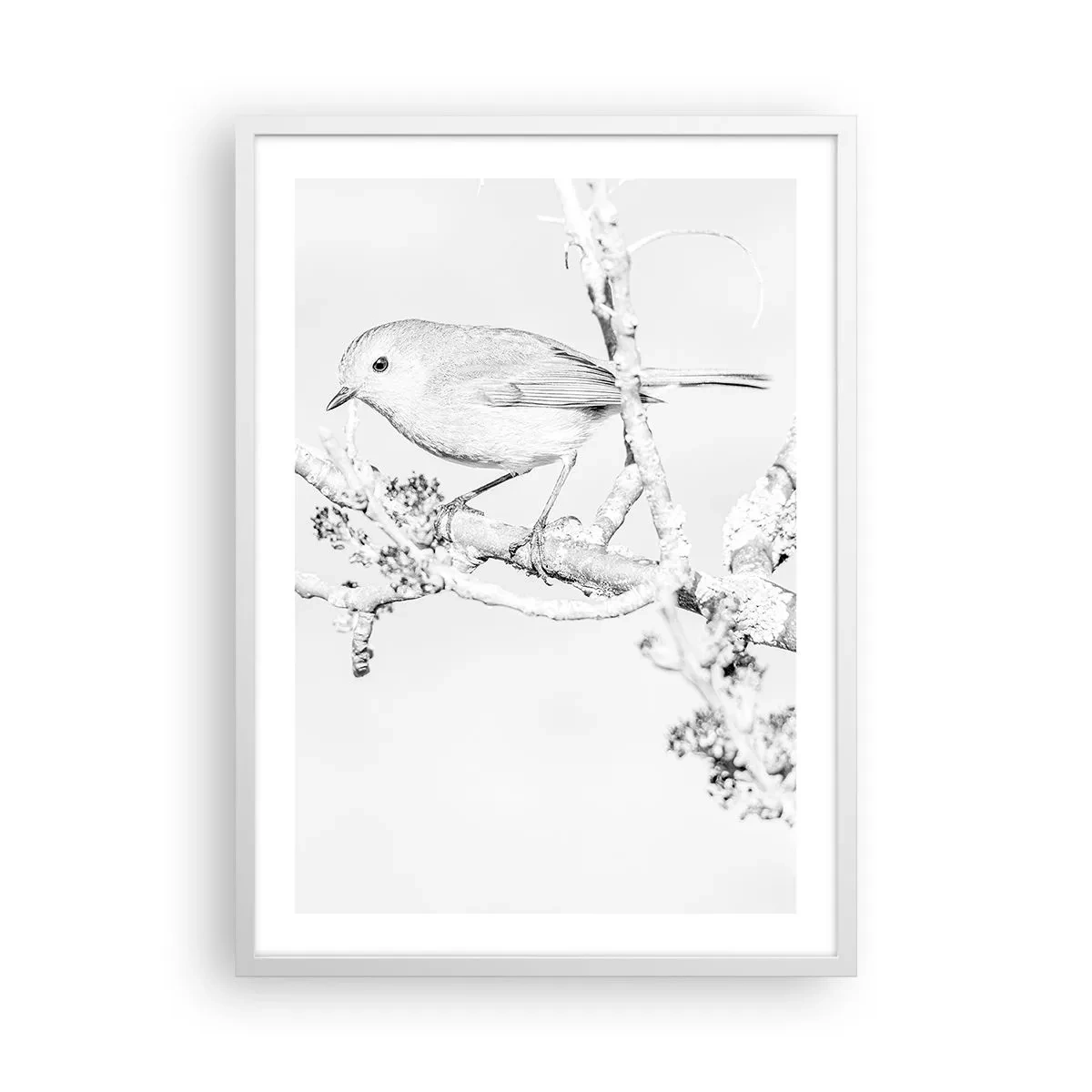 Poster in cornice bianca - Mattino invernale - 50x70 cm