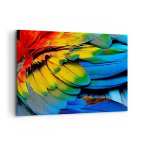 Quadro su tela - Stampe su Tela - Un primo piano delle piume colorate di un pappagallo - 100x70cm - L'uccello del paradiso - Decorazione murale moderna per soggiorno e camera da letto ARTTOR