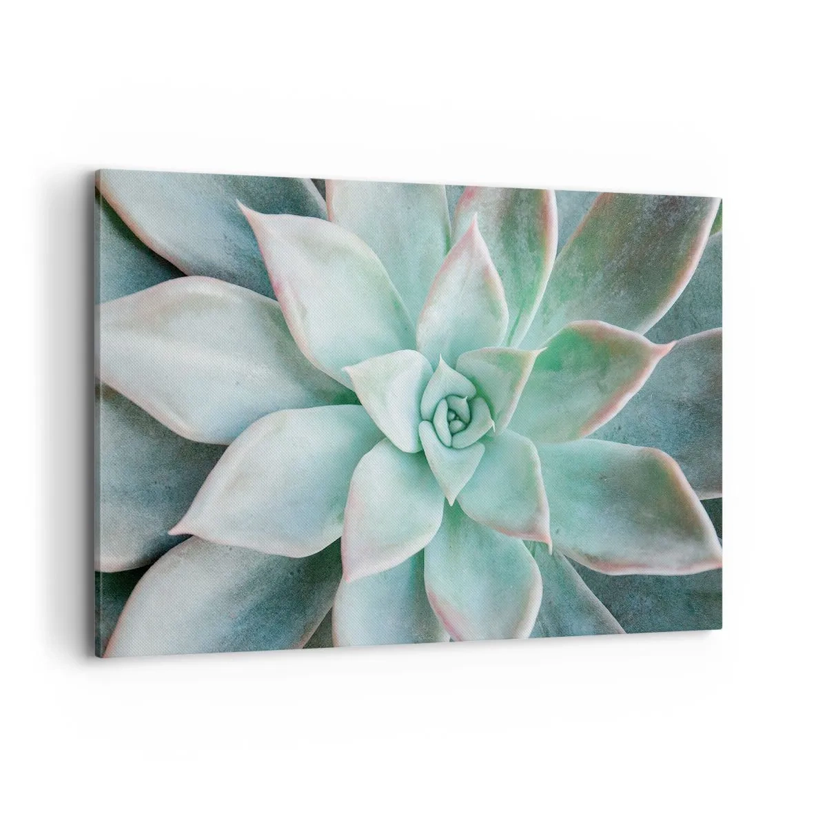 Quadro su tela - Stampe su Tela - Primo piano di una succulenta verde - 120x80cm - Il cuore del deserto - Decorazione murale moderna per soggiorno e camera da letto ARTTOR