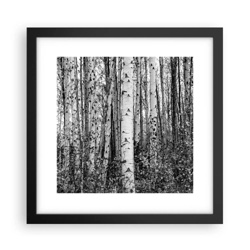 Poster in cornice nera - Colonnato di betulle - 30x30 cm
