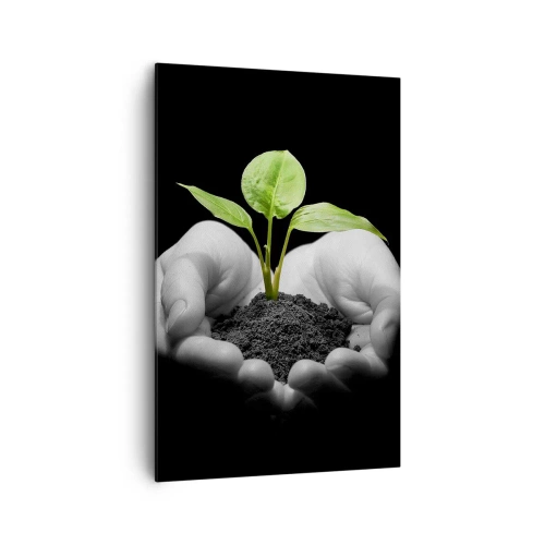 Quadro su tela - Stampe su Tela - Mani che tengono una pianta verde su uno sfondo nero - 80x120cm - Amo la natura, la proteggo - Decorazione murale moderna per soggiorno e camera da letto ARTTOR