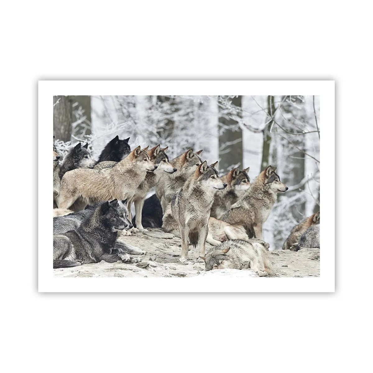 Poster - Famiglia e amici - 70x50 cm