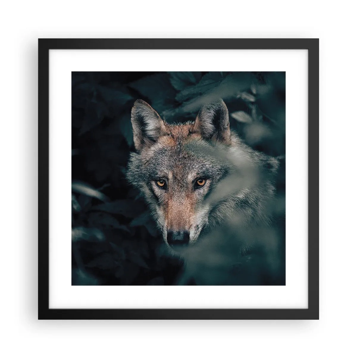 Poster in cornice nera - Cacciatore - 40x40 cm