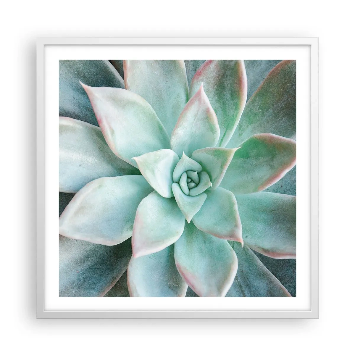 Poster in cornice bianca - Il cuore del deserto - 60x60 cm