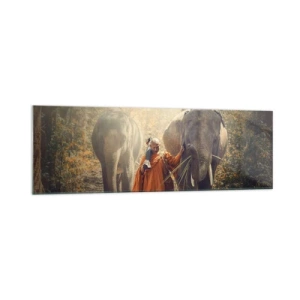 Quadro su vetro - Un monaco con una tunica arancione guida un elefante nella foresta. - 160x50cm - Comprensione perfetta - Decorazione murale moderna per soggiorno e camera da letto ARTTOR
