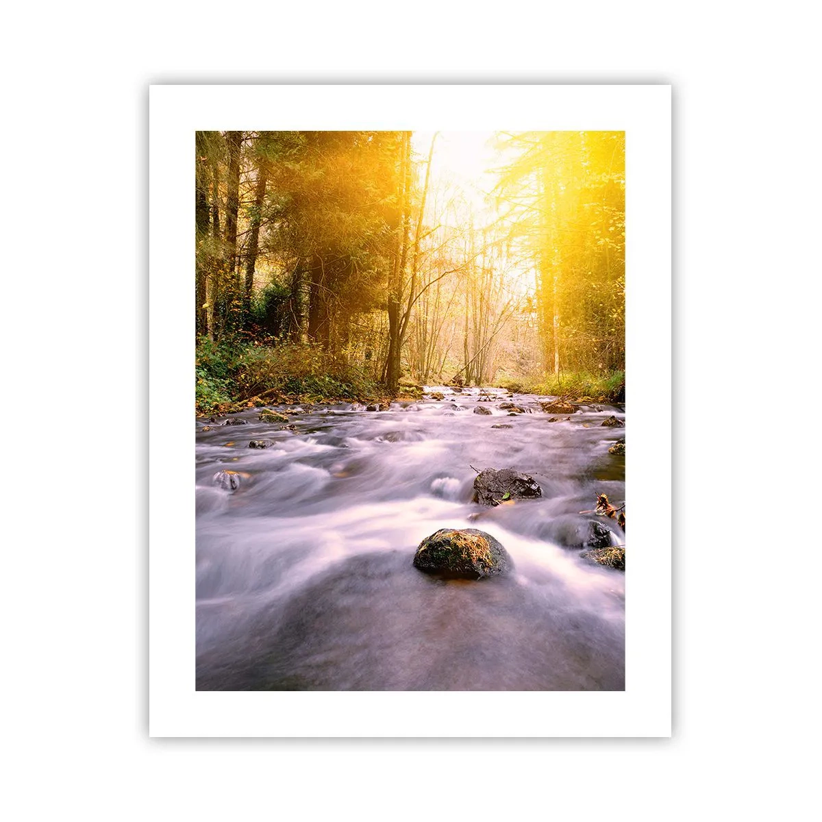 Poster - Malachite in cornice oro-argento - 40x50 cm