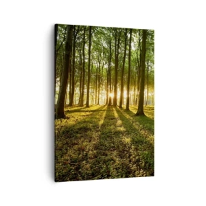 Quadro su tela - Stampe su Tela - Il sole al tramonto nella foresta decidua - 50x70cm - La foto di ogni primavera - Decorazione murale moderna per soggiorno e camera da letto ARTTOR