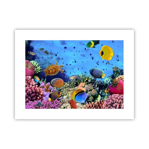 Poster - Ma cosa sappiamo della vita... - 40x30 cm