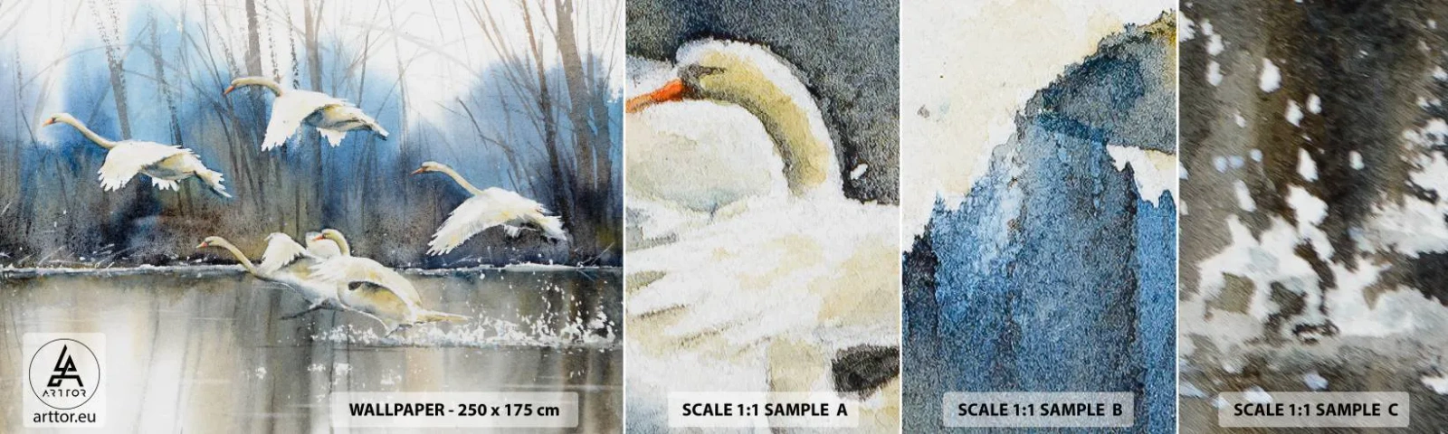 Campione Di Fotomurale Standard Eco - Come la favola dei cigni selvatici - Cigni, Uccelli, Paesaggio - 100x30 cm