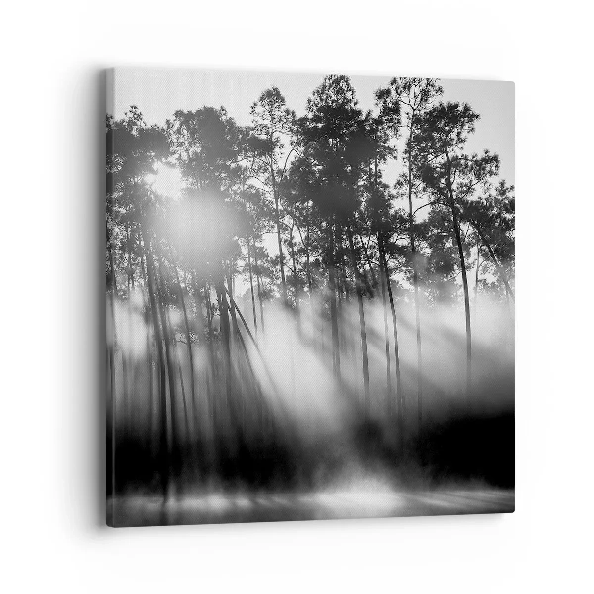 Quadro su tela - Stampe su Tela - Sole irrefrenabile - 40x40 cm