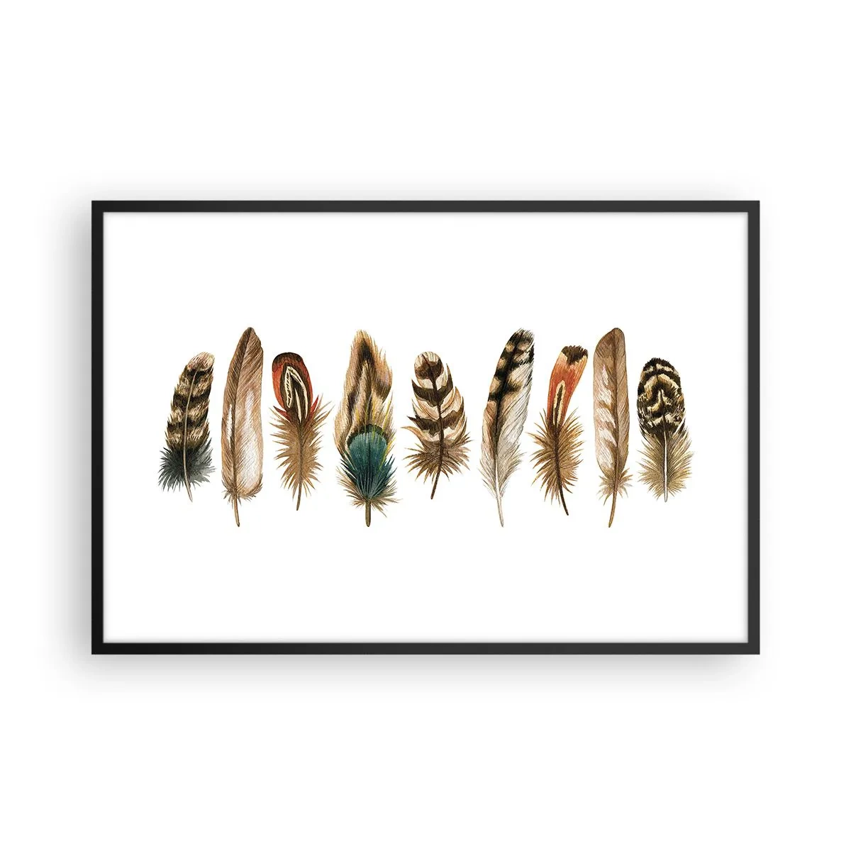 Poster in cornice nera - Composizione di piume - 91x61 cm