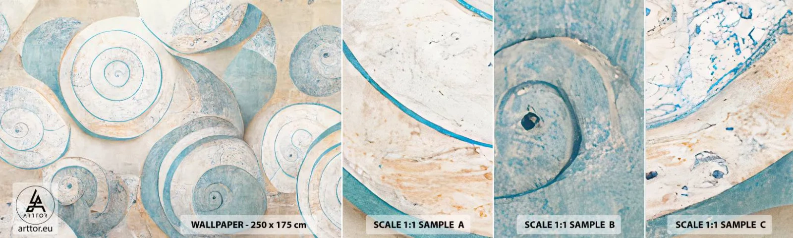 Campione Di Fotomurale Standard Eco - Cosa nasconde la chiocciola? - Minimalismo, Conchiglie, Luminoso - 100x30 cm