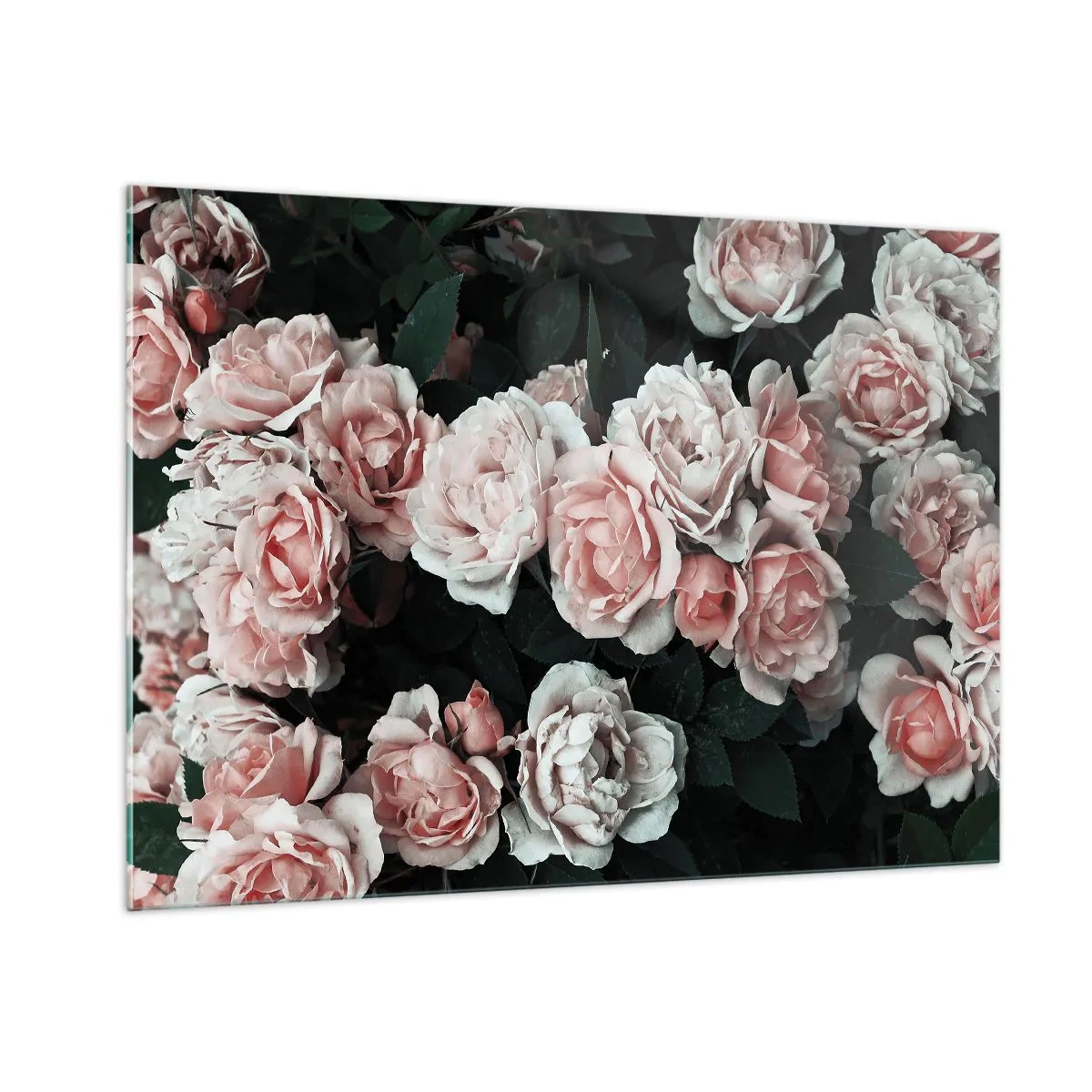 Quadro su vetro - Primo piano di un bouquet di rose rosa su uno sfondo scuro - 100x70cm - Composizione di rose - Decorazione murale moderna per soggiorno e camera da letto ARTTOR