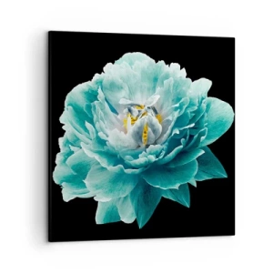 Quadro su tela - Stampe su Tela - Petali blu e oro - 50x50 cm