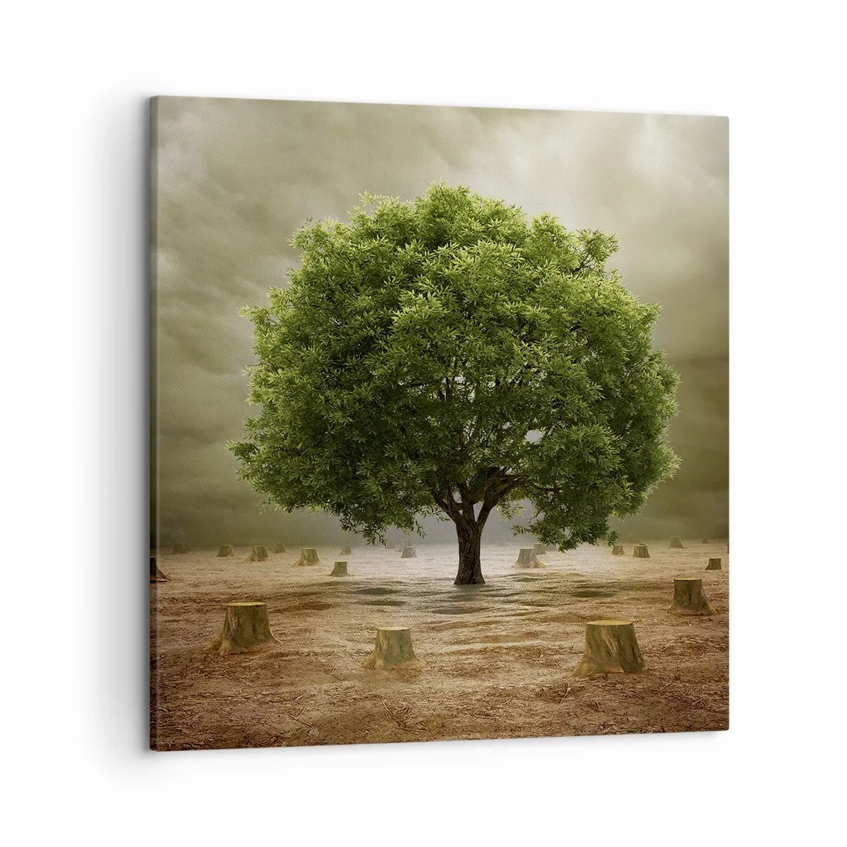 Quadro su tela - Stampe su Tela - Ogni speranza - 50x50 cm