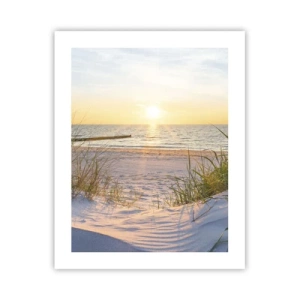 Poster - Rumore del mare, uccelli che cantano, spiaggia selvatica tra i cespugli... - 40x50 cm