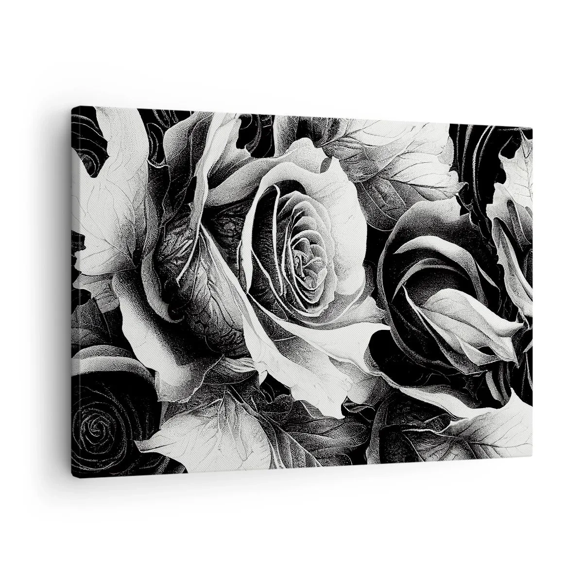 Quadro su tela - Stampe su Tela - Rose bianche e nere in una composizione elegante - 70x50cm - Sempre regina - Decorazione murale moderna per soggiorno e camera da letto ARTTOR