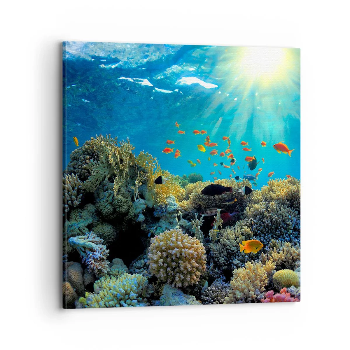 Quadro su tela - Stampe su Tela - Tesori sotto al mare - 70x70 cm