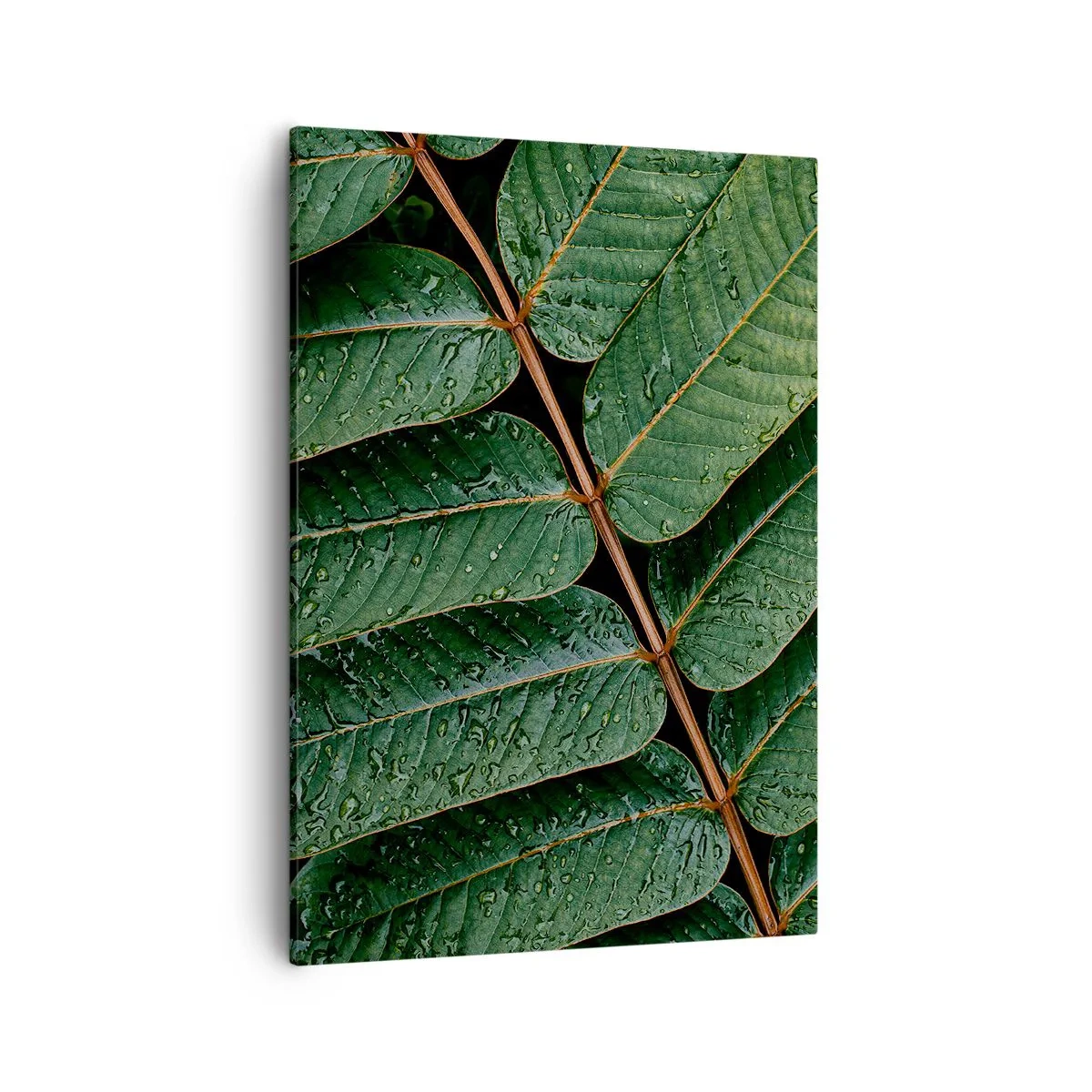Quadro su tela - Stampe su Tela - Macro di foglie verdi con gocce di rugiada - 50x70cm - Al ritmo verde - Decorazione murale moderna per soggiorno e camera da letto ARTTOR