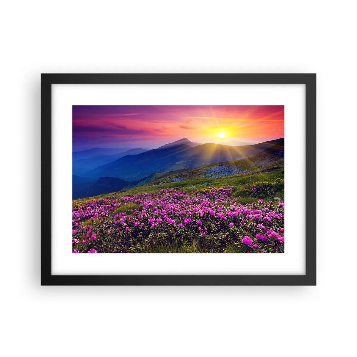 Poster in cornice nera - Odore di mugo e profumo di erbe - 40x30 cm