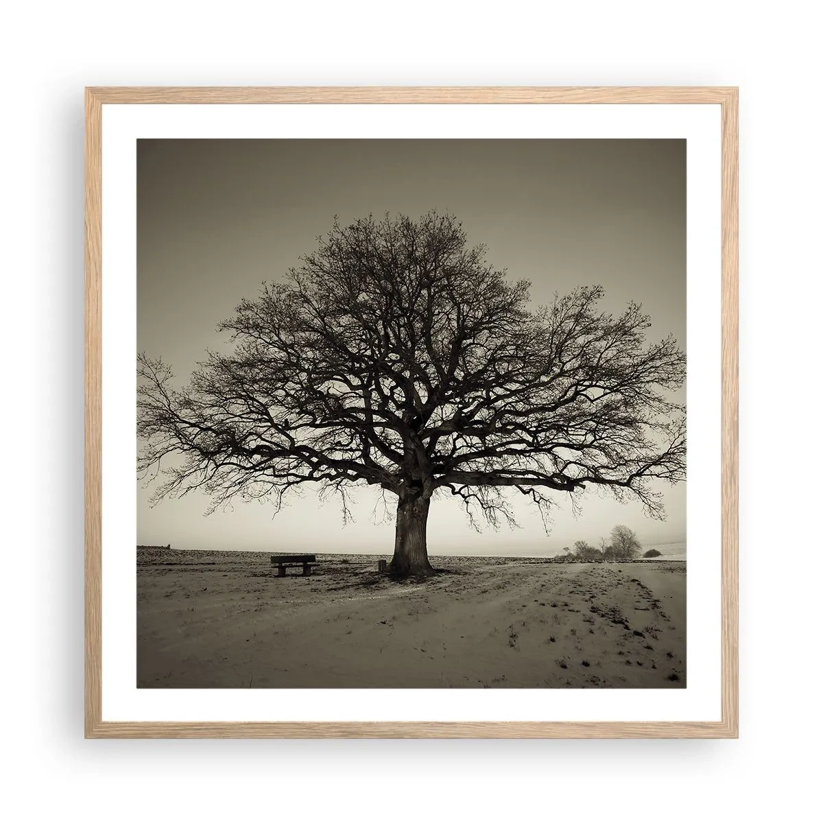 Poster in cornice rovere chiaro - Da qui all'eternità - 60x60 cm