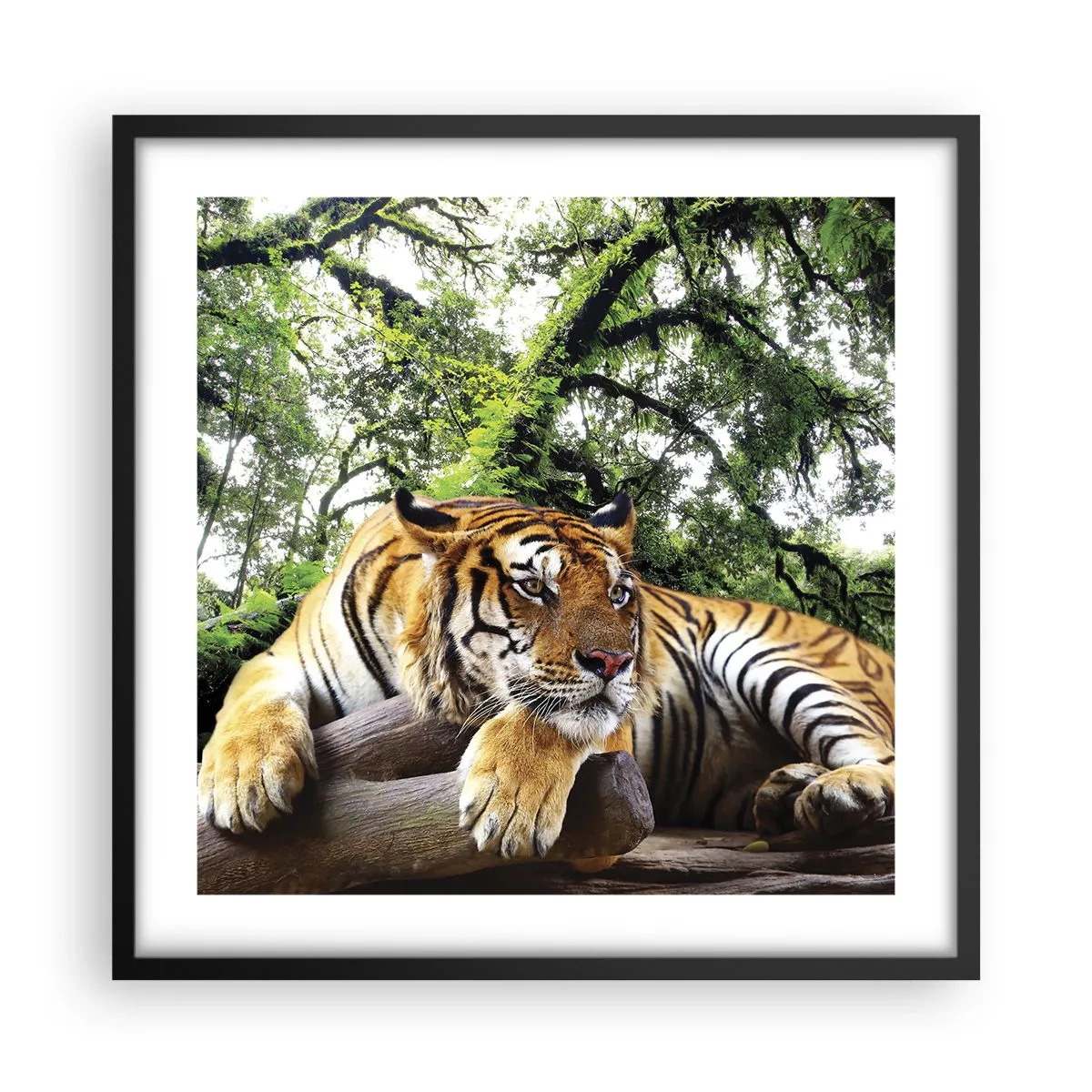 Poster in cornice nera - Con espressioni di stima - 50x50 cm