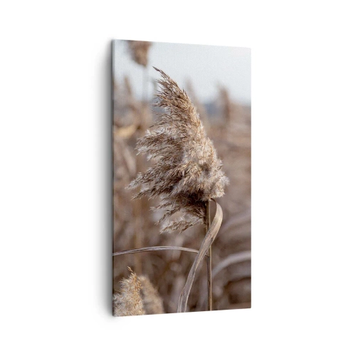 Quadro su tela - Stampe su Tela - è tempo di volare col vento - 45x80 cm