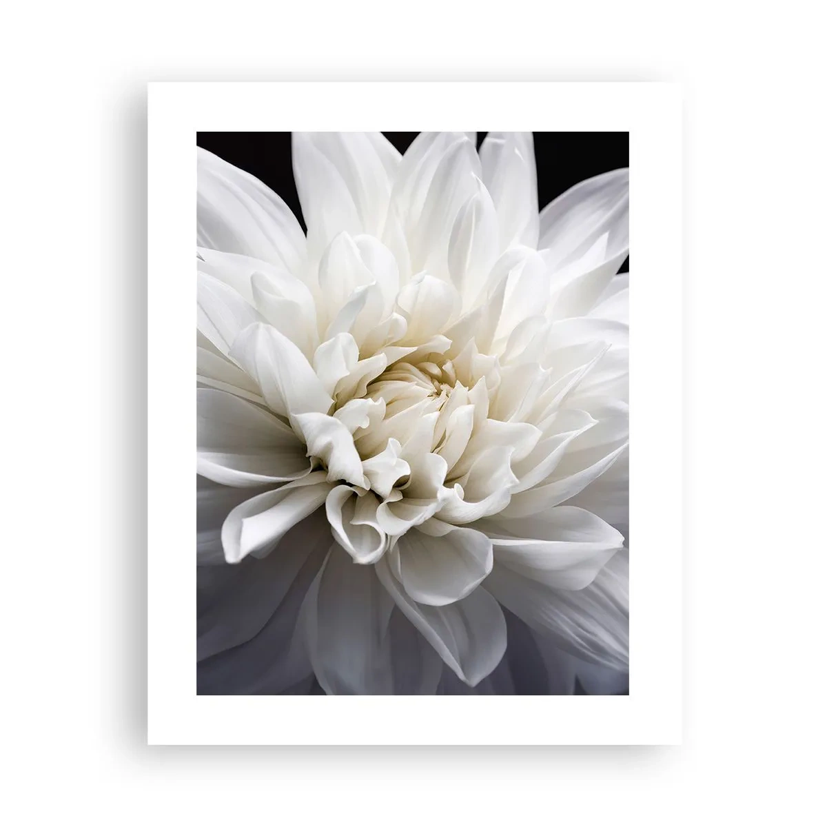 Poster - Il mattino della sposa - 40x50 cm