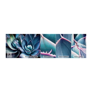 Campione di Fotomurale Premium Canvas - Forza vitale - Fiori, Botanica, Succulente - 100x30 cm