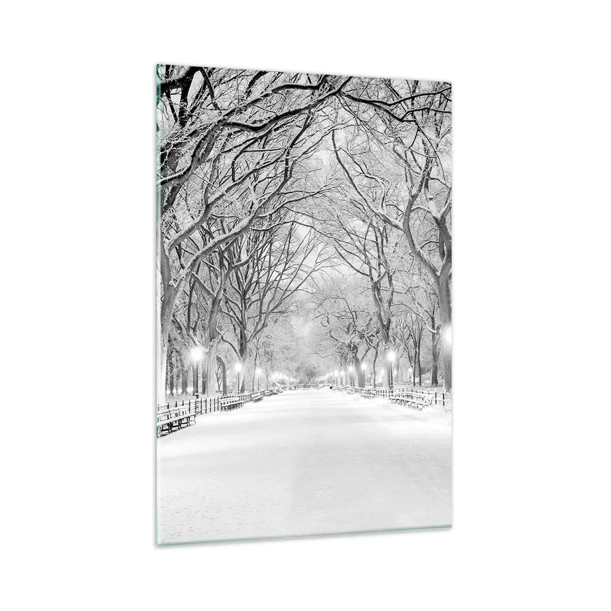 Quadro su vetro - Un vicolo invernale con alberi innevati in bianco e nero - 80x120cm - Quattro stagioni: l'inverno - Decorazione murale moderna per soggiorno e camera da letto ARTTOR