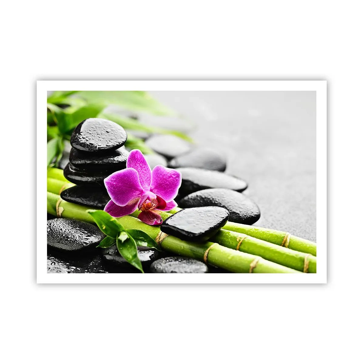 Poster - Orchidea viola, pietre nere e bambù in una composizione tranquilla - 100x70cm - Un tranquillo equilibrio - Decorazione murale moderna per soggiorno e camera da letto ARTTOR