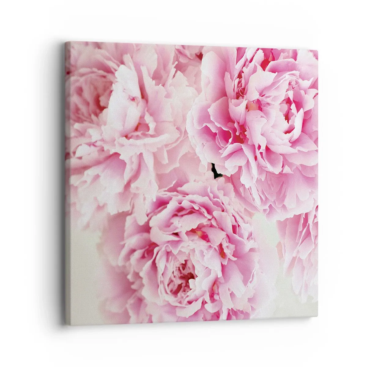 Quadro su tela - Stampe su Tela - Nel fasto rosa - 30x30 cm
