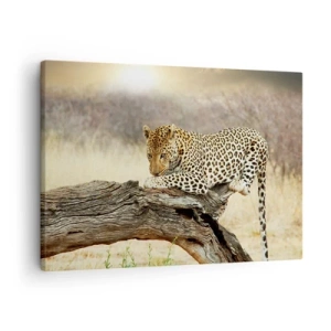 Quadro su tela - Stampe su Tela - Un leopardo che riposa sul tronco di un albero nella savana - 70x50cm - Vado per la mia strada - Decorazione murale moderna per soggiorno e camera da letto ARTTOR