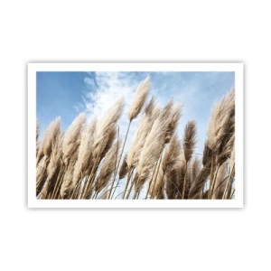 Poster - Le carezze del sole e del vento - 91x61 cm