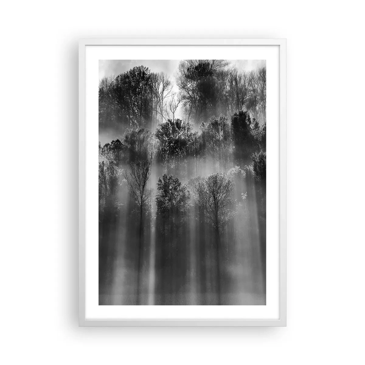 Poster in cornice bianca - Nei getti di luce - 50x70 cm