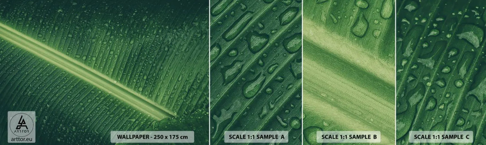 Campione di Fotomurale Adesivo Deluxe Sticker - La struttura del verde - Foglia verde, Pianta tropicale, Pezzo - 100x30 cm