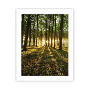 Poster - La foto di ogni primavera - 40x50 cm