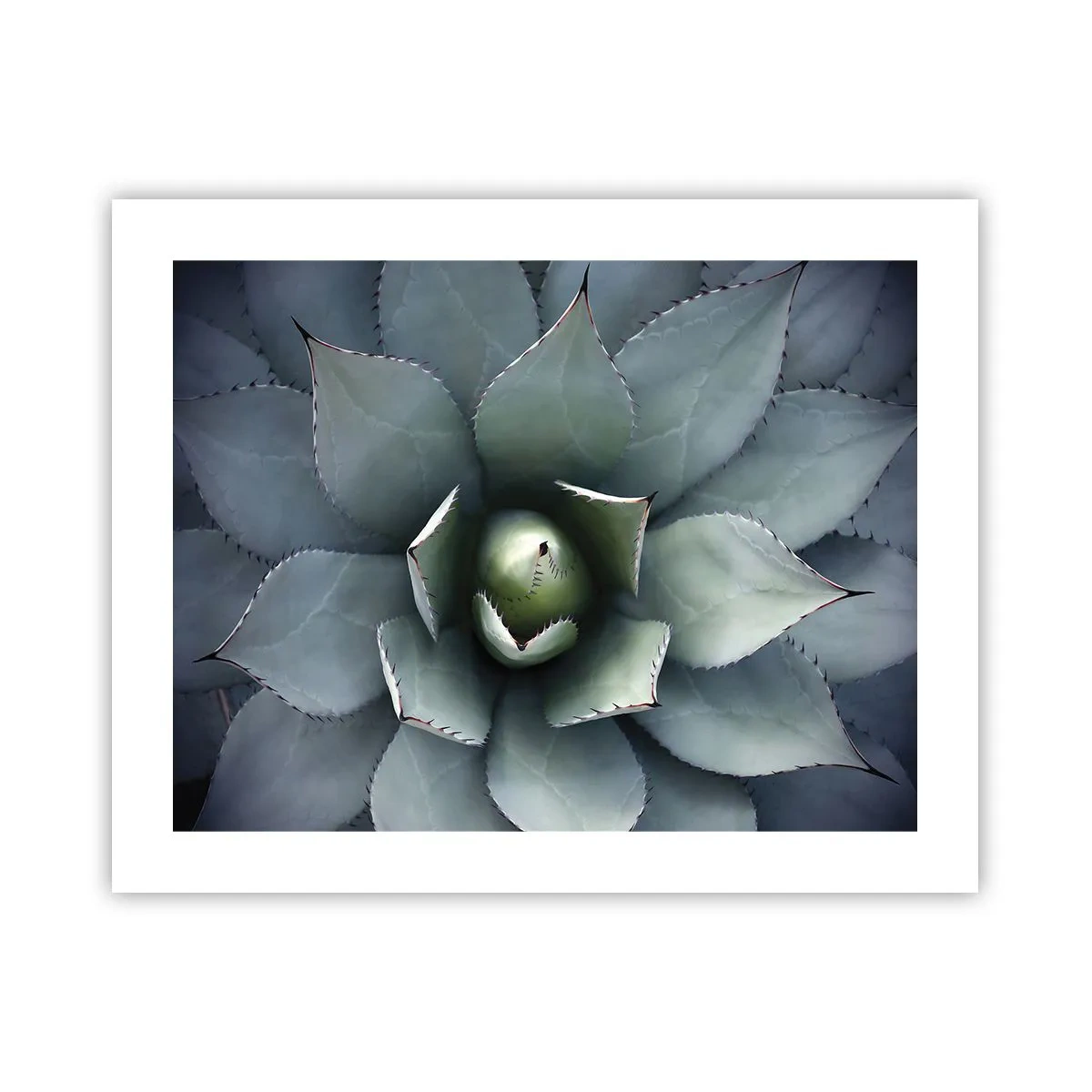 Poster - Adesca e minaccia - 50x40 cm