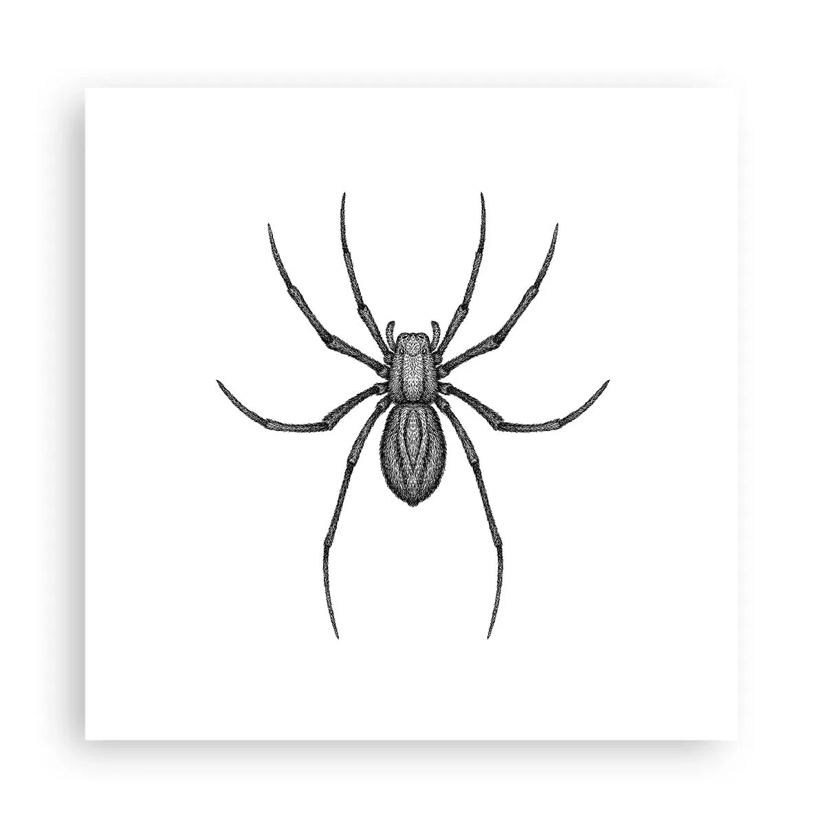 Poster - Precisione inquietante - 30x30 cm