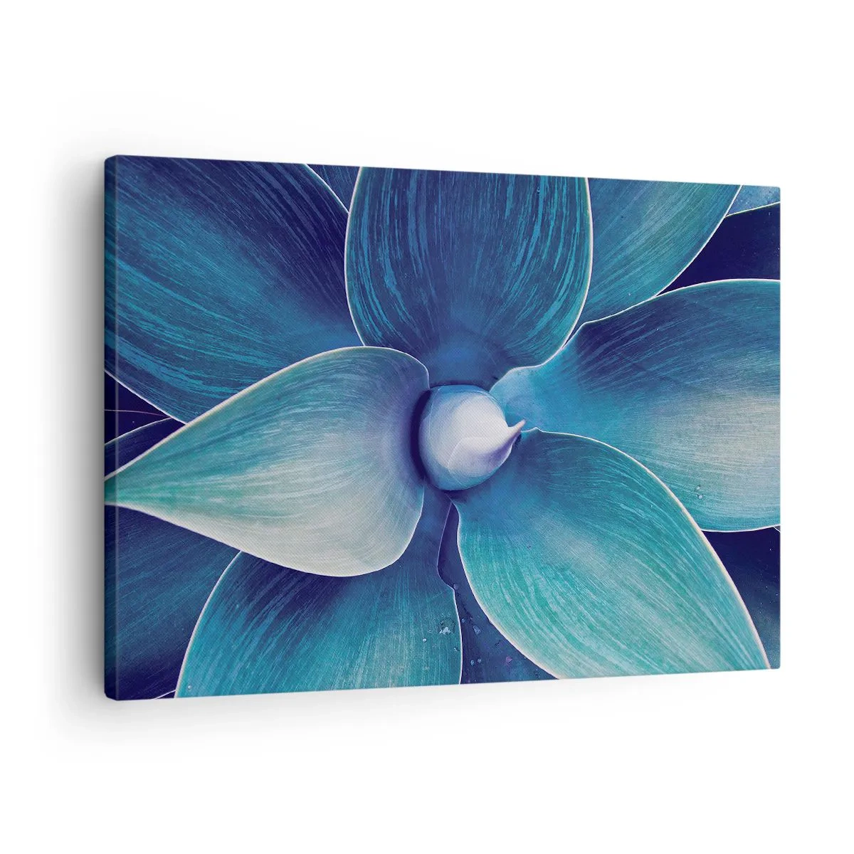 Quadro su tela - Stampe su Tela - Primo piano di un fiore astratto nei toni del blu - 70x50cm - Imbluito dal sole - Decorazione murale moderna per soggiorno e camera da letto ARTTOR