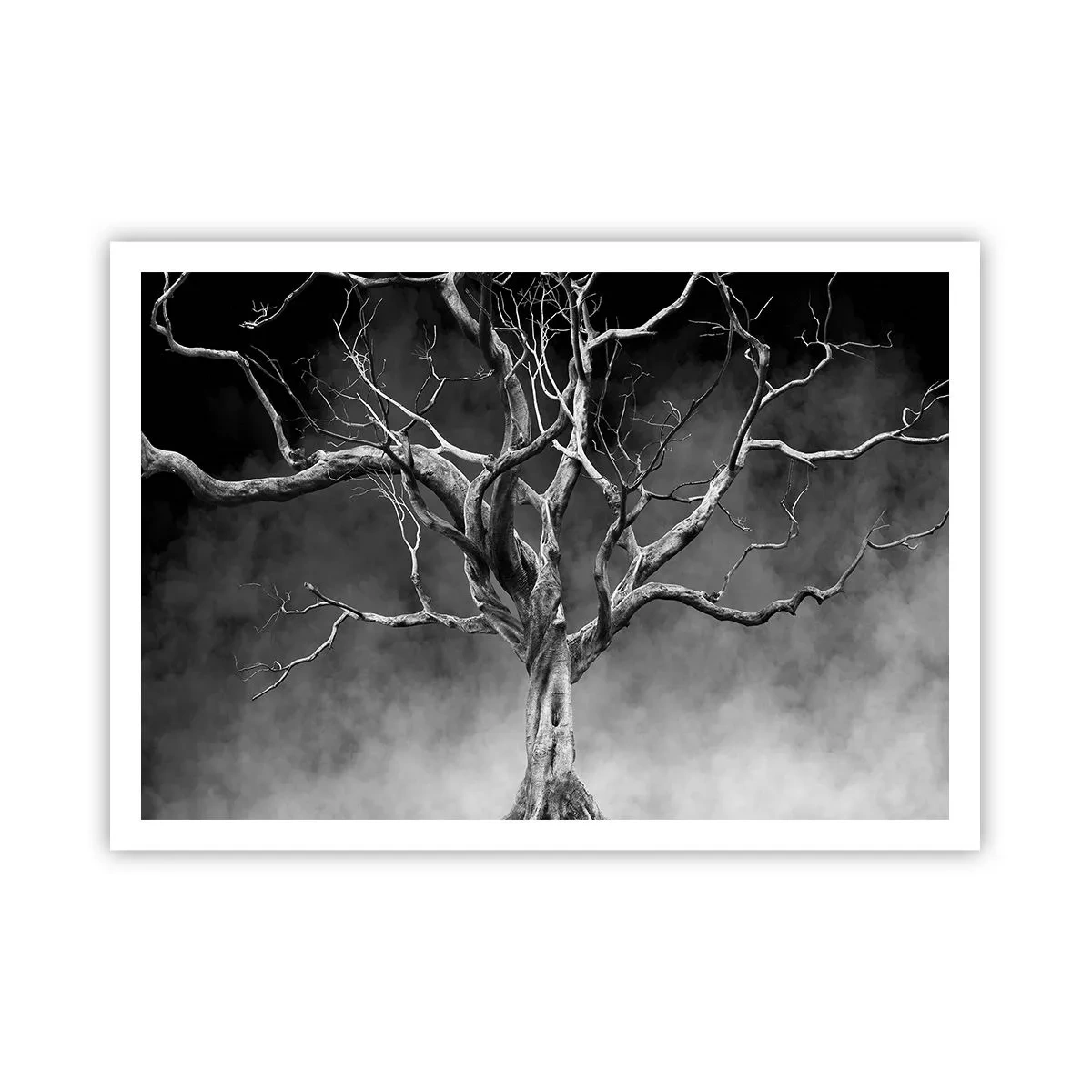 Poster - Un albero secco in bianco e nero contro la nebbia - 100x70cm - Primordiale e sacro - Decorazione murale moderna per soggiorno e camera da letto ARTTOR