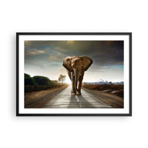 Poster in cornice nera - Un elefante che cammina lungo una strada attraverso un paesaggio al tramonto - 70x50cm - E non nel negozio di cristalli - Decorazione murale moderna per soggiorno e camera da letto ARTTOR